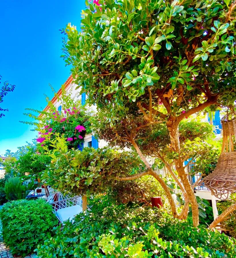 Alacati Kayezta Hotel slide-5