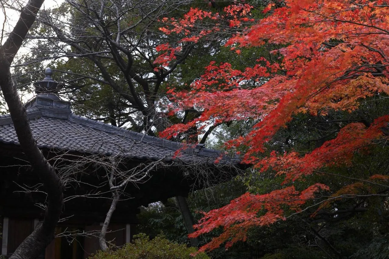 Grand Prince Hotel Shin Takanawa-2