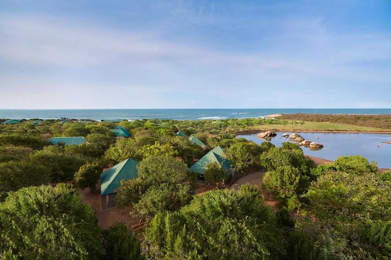 Cinnamon Wild Yala slide-5