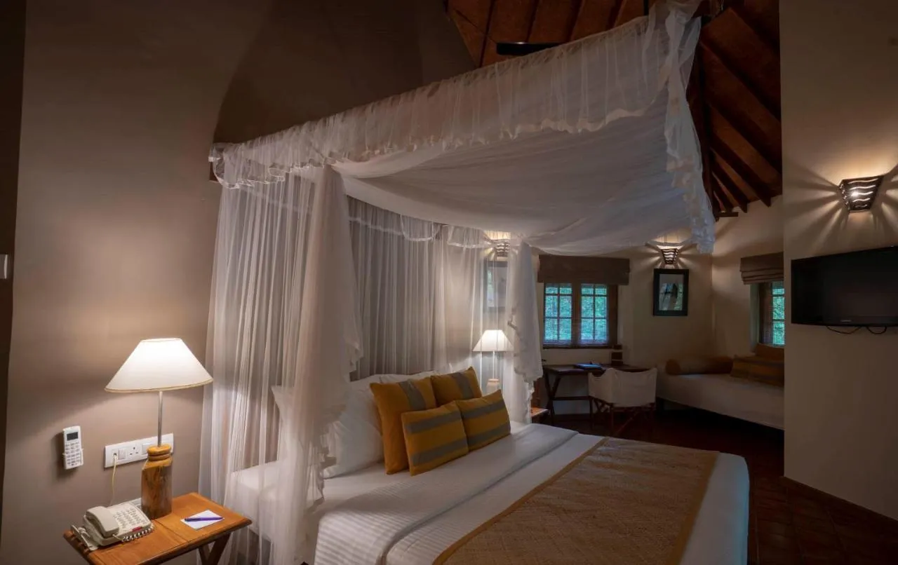 Cinnamon Wild Yala slide-4
