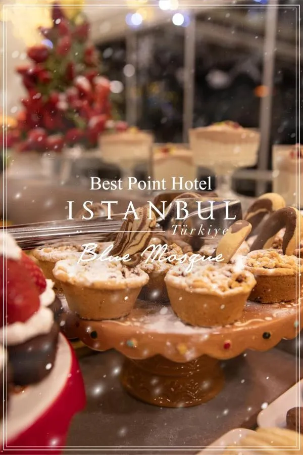Best Point Hotel Sultanahmet,Istanbul-1