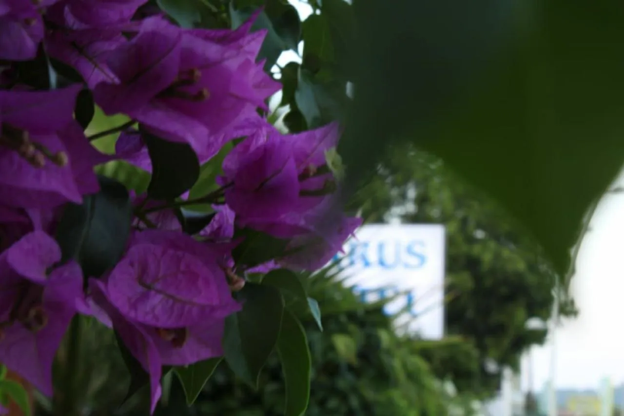 Parus Hotel slide-5