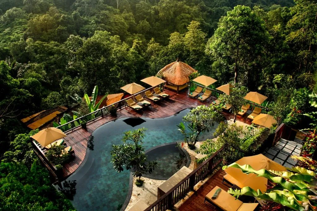 Nandini Jungle by Hanging Gardens-1