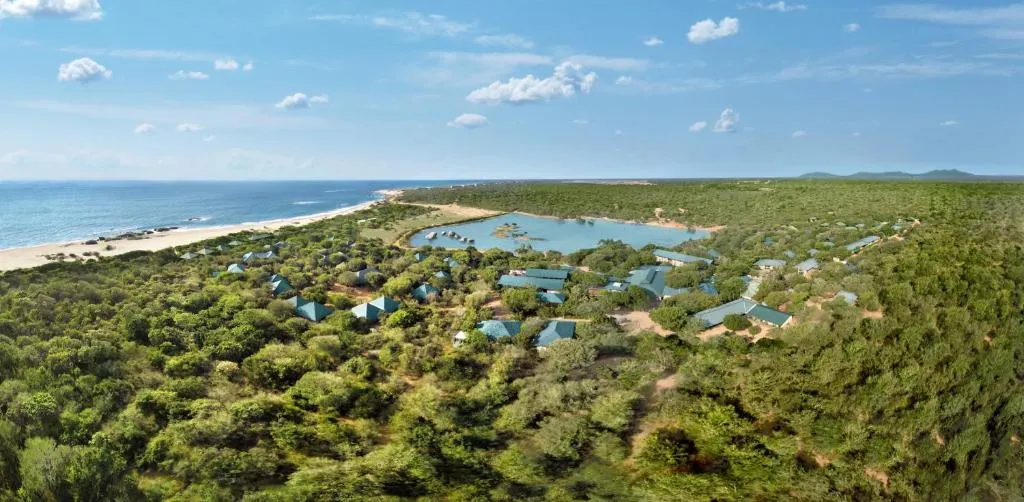Cinnamon Wild Yala-1