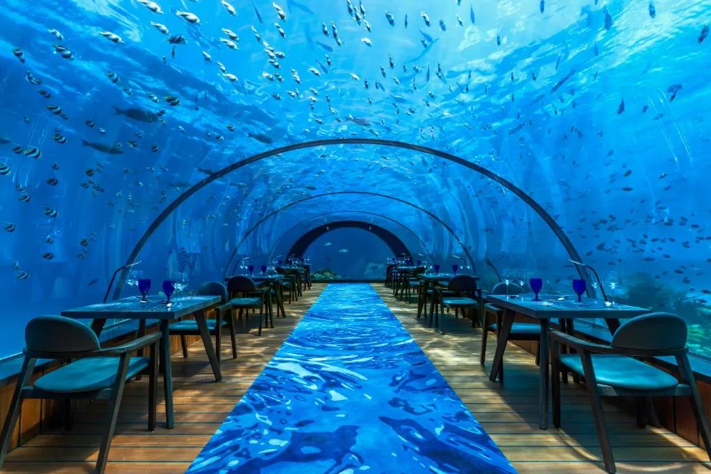 Hurawalhi Island Resort Hotel-1