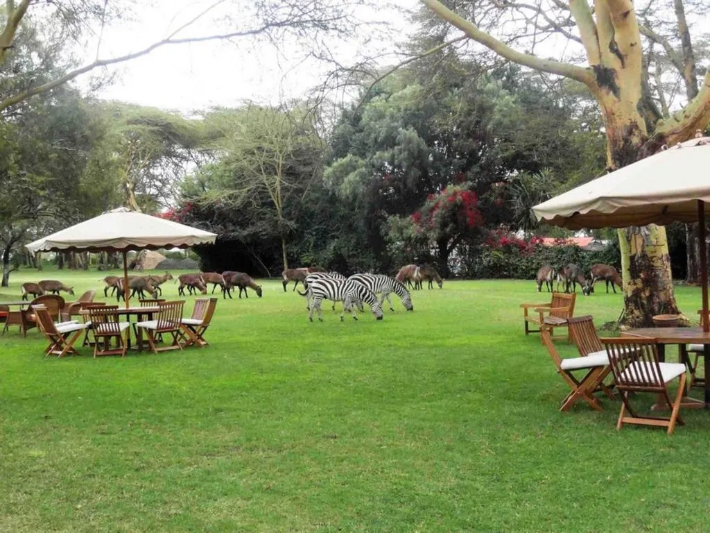 Lake Naivasha Country Club Hotel-1