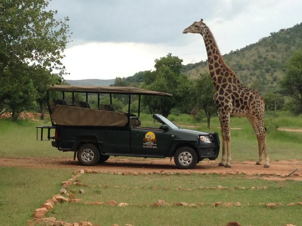 Kedar Heritage Lodge, Conference Centre & Spa-1