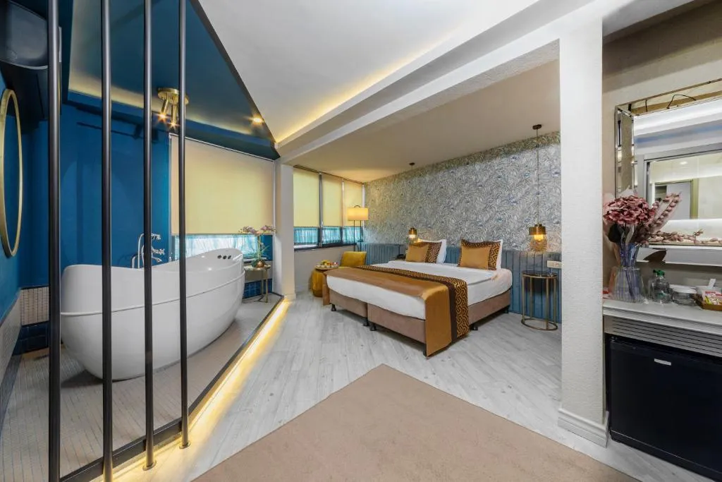 Ayramin Deluxe Hotel Taksim-1